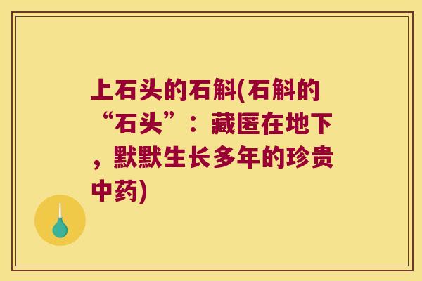 上石头的石斛(石斛的“石头”：藏匿在地下，默默生长多年的珍贵中药)