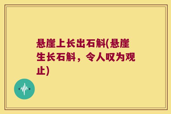 悬崖上长出石斛(悬崖生长石斛,令人叹为观止) 悬崖上长出石斛(悬崖生长石斛,令人叹为观止)