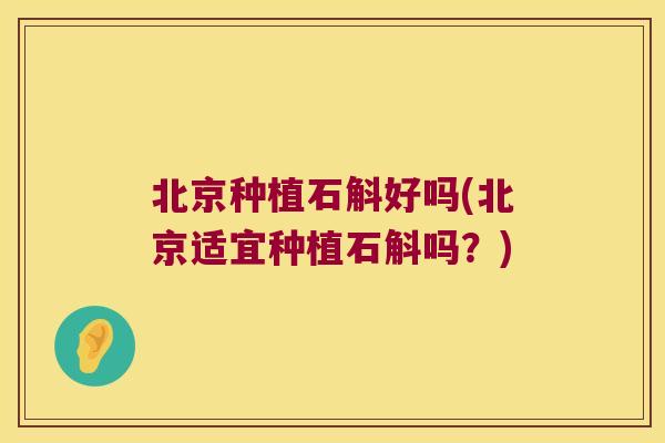 北京种植石斛好吗(北京适宜种植石斛吗？)