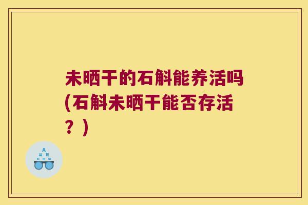 未晒干的石斛能养活吗(石斛未晒干能否存活?) 未晒干的石斛能养活吗(石斛未晒干能否存活?)
