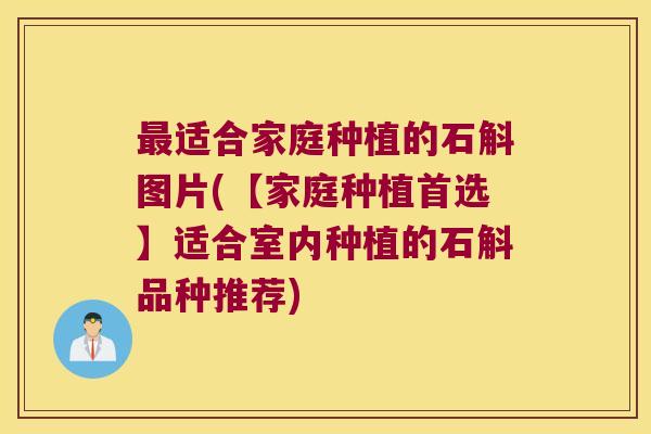 适合家庭种植的石斛图片(【家庭种植首选】适合室内种植的石斛品种推荐) 适合家庭种植的石斛图片(【家庭种植首选】适合室内种植的石斛品种推荐)