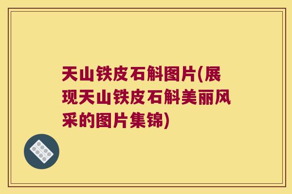 天山铁皮石斛图片(展现天山铁皮石斛美丽风采的图片集锦)