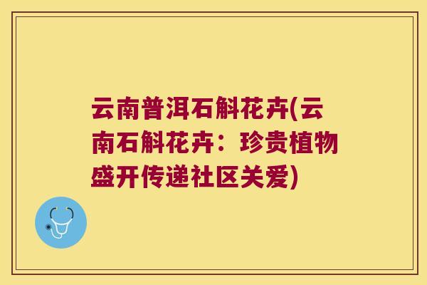 云南普洱石斛花卉(云南石斛花卉：珍贵植物盛开传递社区关爱)