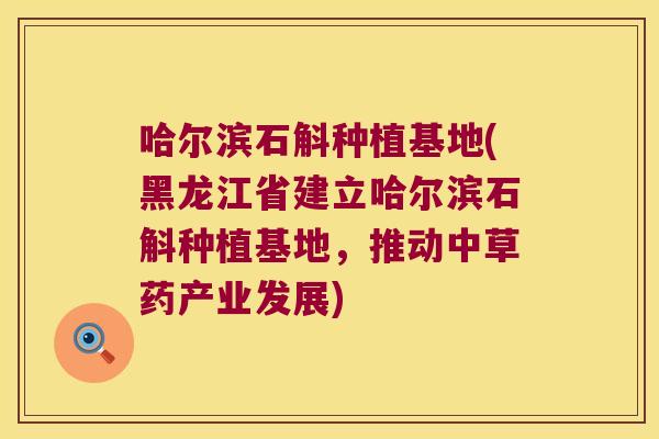 哈尔滨石斛种植基地(黑龙江省建立哈尔滨石斛种植基地，推动中草药产业发展)