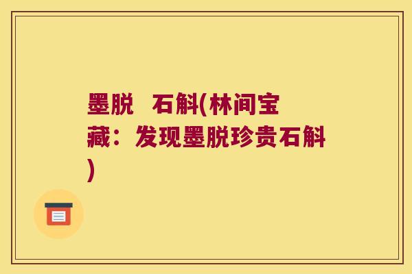 墨脱  石斛(林间宝藏：发现墨脱珍贵石斛)