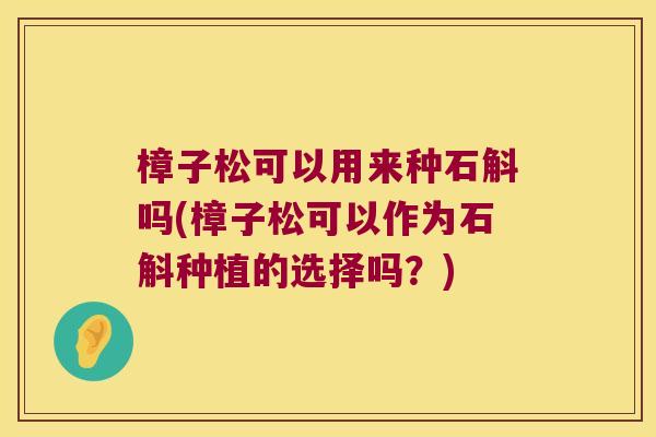 樟子松可以用来种石斛吗(樟子松可以作为石斛种植的选择吗？)