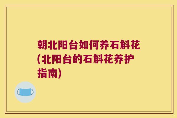 朝北阳台如何养石斛花(北阳台的石斛花养护指南) 朝北阳台如何养石斛花(北阳台的石斛花养护指南)