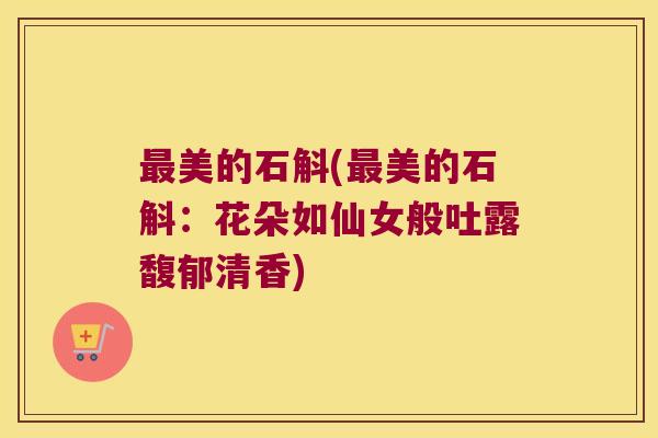 美的石斛(美的石斛:花朵如仙女般吐露馥郁清香) 美的石斛(美的石斛:花朵如仙女般吐露馥郁清香)