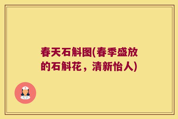 春天石斛图(春季盛放的石斛花，清新怡人)