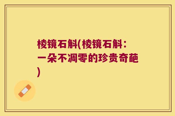 棱镜石斛(棱镜石斛：一朵不凋零的珍贵奇葩)