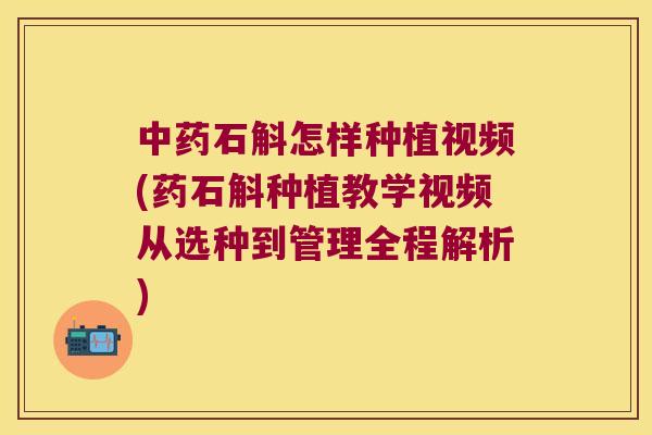 中药石斛怎样种植视频(药石斛种植教学视频从选种到管理全程解析)
