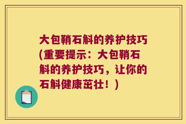 大包鞘石斛的养护技巧(重要提示：大包鞘石斛的养护技巧，让你的石斛健康茁壮！)