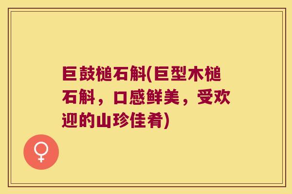 巨鼓槌石斛(巨型木槌石斛，口感鲜美，受欢迎的山珍佳肴)