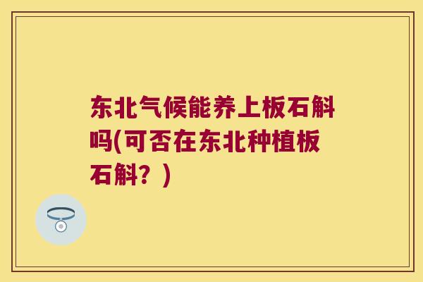东北气候能养上板石斛吗(可否在东北种植板石斛？)