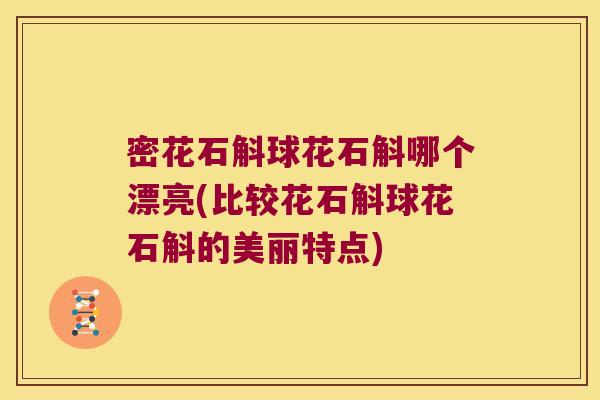 密花石斛球花石斛哪个漂亮(比较花石斛球花石斛的美丽特点)