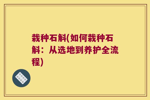 栽种石斛(如何栽种石斛：从选地到养护全流程)