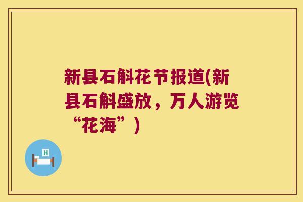 新县石斛花节报道(新县石斛盛放,万人游览“花海”) 新县石斛花节报道(新县石斛盛放,万人游览“花海”)