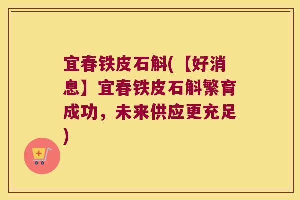 宜春铁皮石斛(【好消息】宜春铁皮石斛繁育成功,未来供应更充足) 宜春铁皮石斛(【好消息】宜春铁皮石斛繁育成功,未来供应更充足)