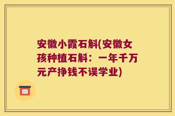 安徽小霞石斛(安徽女孩种植石斛:一年千万元产挣钱不误学业) 安徽小霞石斛(安徽女孩种植石斛:一年千万元产挣钱不误学业)