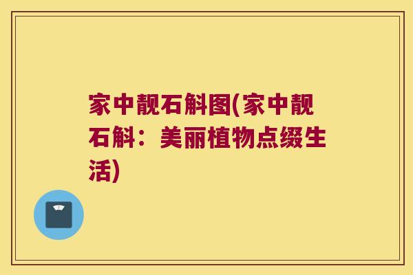 家中靓石斛图(家中靓石斛：美丽植物点缀生活)