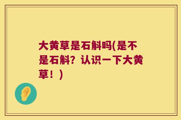 大黄草是石斛吗(是不是石斛？认识一下大黄草！)
