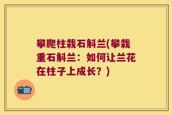 攀爬柱栽石斛兰(攀栽重石斛兰：如何让兰花在柱子上成长？)