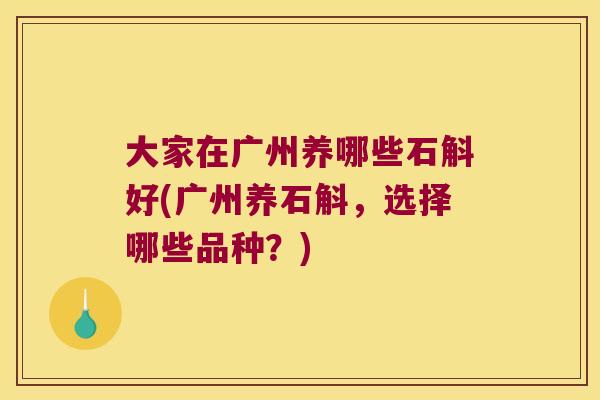 大家在广州养哪些石斛好(广州养石斛，选择哪些品种？)
