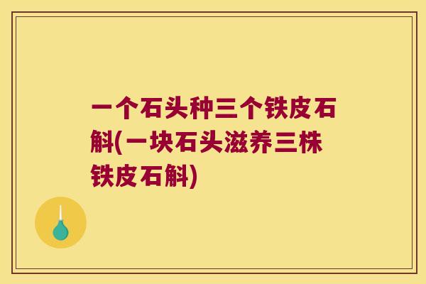 一个石头种三个铁皮石斛(一块石头滋养三株铁皮石斛)