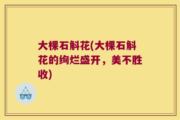 大棵石斛花(大棵石斛花的绚烂盛开，美不胜收)