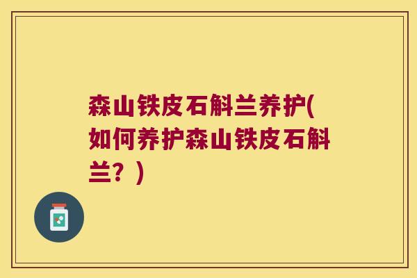 森山铁皮石斛兰养护(如何养护森山铁皮石斛兰？)