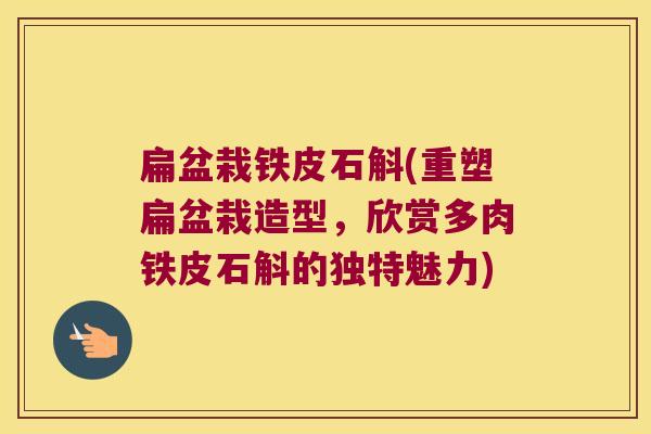 扁盆栽铁皮石斛(重塑扁盆栽造型,欣赏多肉铁皮石斛的独特魅力) 扁盆栽铁皮石斛(重塑扁盆栽造型,欣赏多肉铁皮石斛的独特魅力)