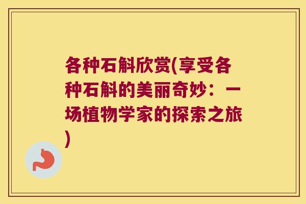 各种石斛欣赏(享受各种石斛的美丽奇妙：一场植物学家的探索之旅)