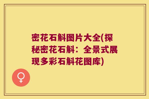 密花石斛图片大全(探秘密花石斛：全景式展现多彩石斛花图库)