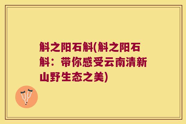 斛之阳石斛(斛之阳石斛:带你感受云南清新山野生态之美) 斛之阳石斛(斛之阳石斛:带你感受云南清新山野生态之美)