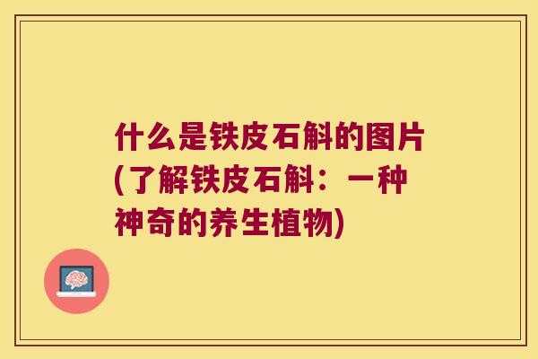 什么是铁皮石斛的图片(了解铁皮石斛:一种神奇的养生植物) 什么是铁皮石斛的图片(了解铁皮石斛:一种神奇的养生植物)