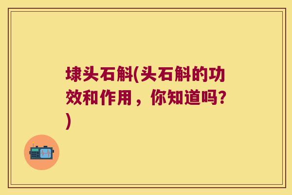埭头石斛(头石斛的功效和作用，你知道吗？)