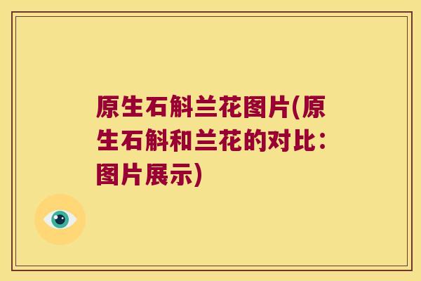 原生石斛兰花图片(原生石斛和兰花的对比：图片展示)