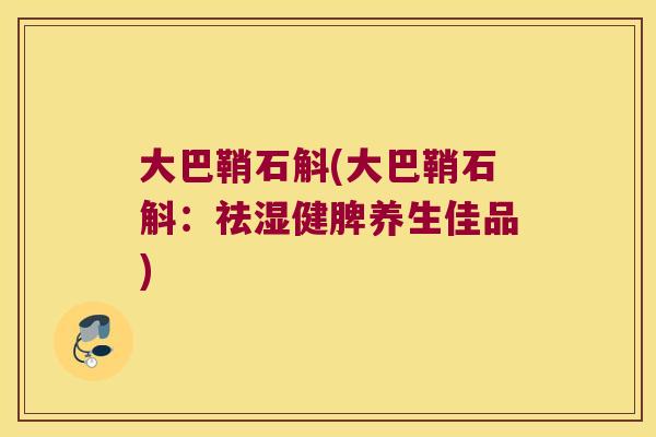 大巴鞘石斛(大巴鞘石斛：祛湿健脾养生佳品)