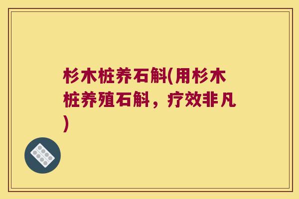 杉木桩养石斛(用杉木桩养殖石斛,疗效非凡) 杉木桩养石斛(用杉木桩养殖石斛,疗效非凡)