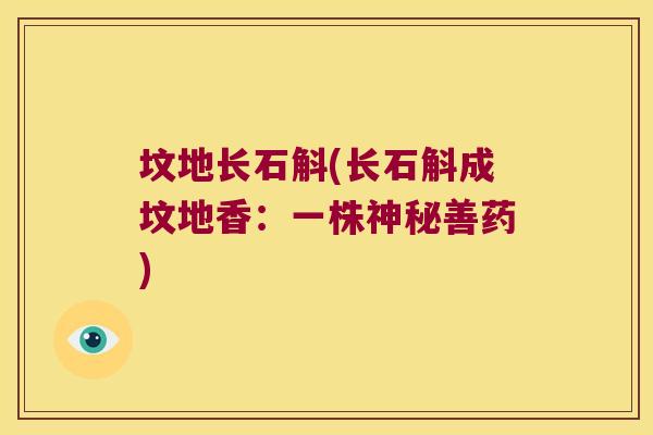 坟地长石斛(长石斛成坟地香:一株神秘善药) 坟地长石斛(长石斛成坟地香:一株神秘善药)
