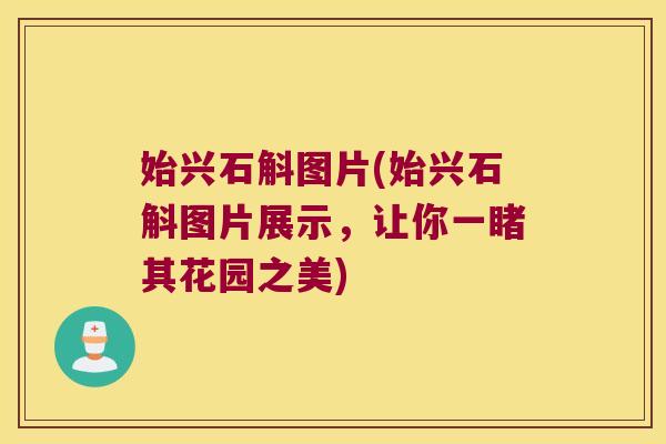 始兴石斛图片(始兴石斛图片展示，让你一睹其花园之美)