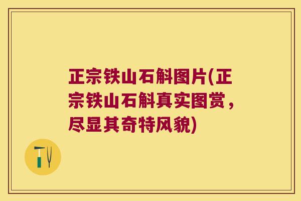 正宗铁山石斛图片(正宗铁山石斛真实图赏，尽显其奇特风貌)