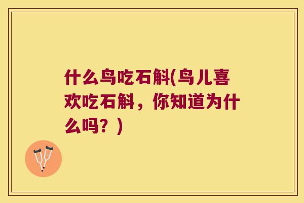 什么鸟吃石斛(鸟儿喜欢吃石斛，你知道为什么吗？)