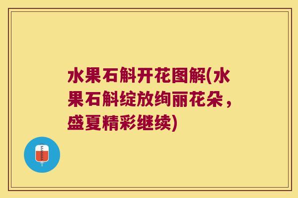 水果石斛开花图解(水果石斛绽放绚丽花朵，盛夏精彩继续)