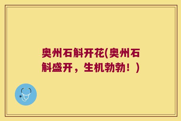 奥州石斛开花(奥州石斛盛开，生机勃勃！)