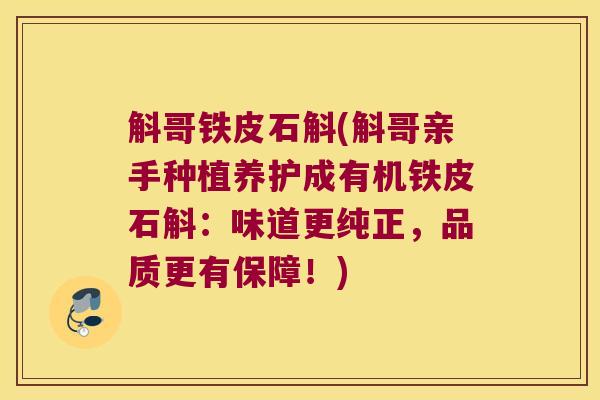 斛哥铁皮石斛(斛哥亲手种植养护成有机铁皮石斛：味道更纯正，品质更有保障！)