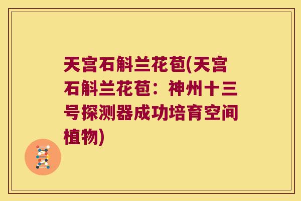 天宫石斛兰花苞(天宫石斛兰花苞：神州十三号探测器成功培育空间植物)
