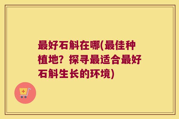 好石斛在哪(佳种植地？探寻适合好石斛生长的环境)