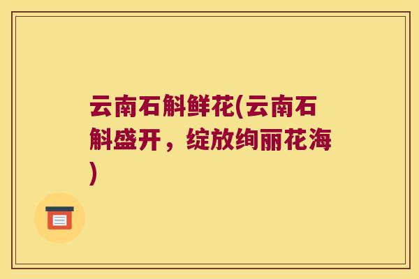 云南石斛鲜花(云南石斛盛开，绽放绚丽花海)