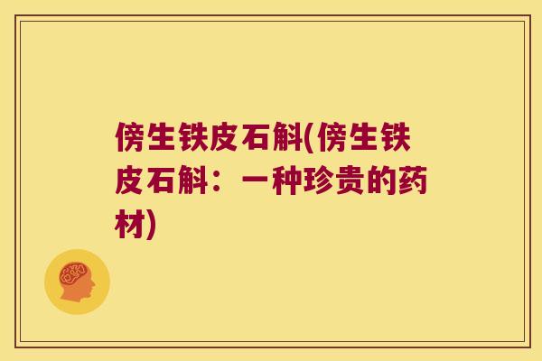 傍生铁皮石斛(傍生铁皮石斛：一种珍贵的药材)